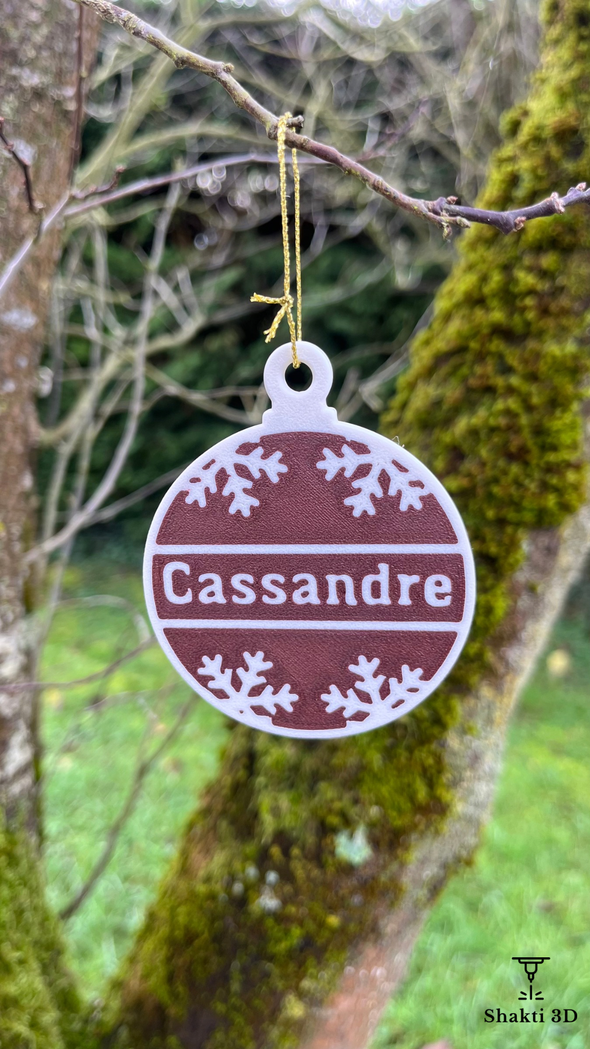 Boule de noël personnalisée avec prénom Shakti 3D