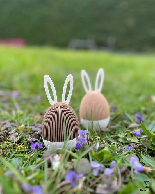 🥚🐰 Œuf Lapin de Pâques Ouvrable – Spécial Chocolats 🍫✨ SHAKTI 3D