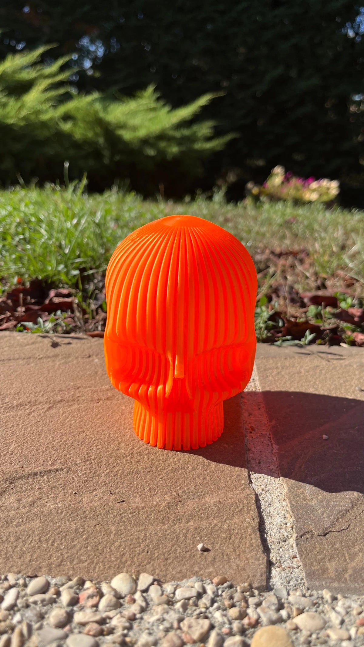Tête de mort halloween