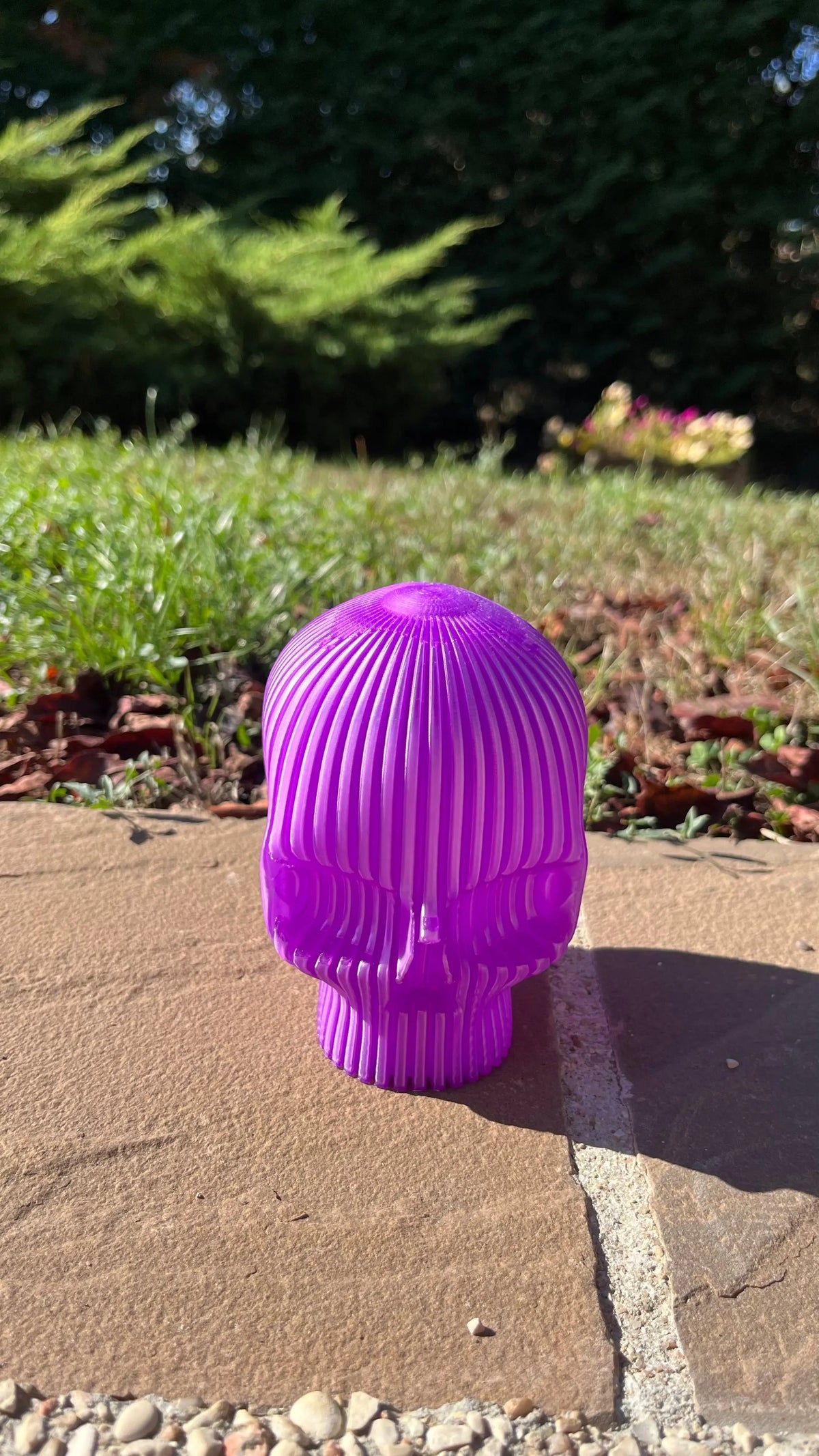 Tête de mort halloween