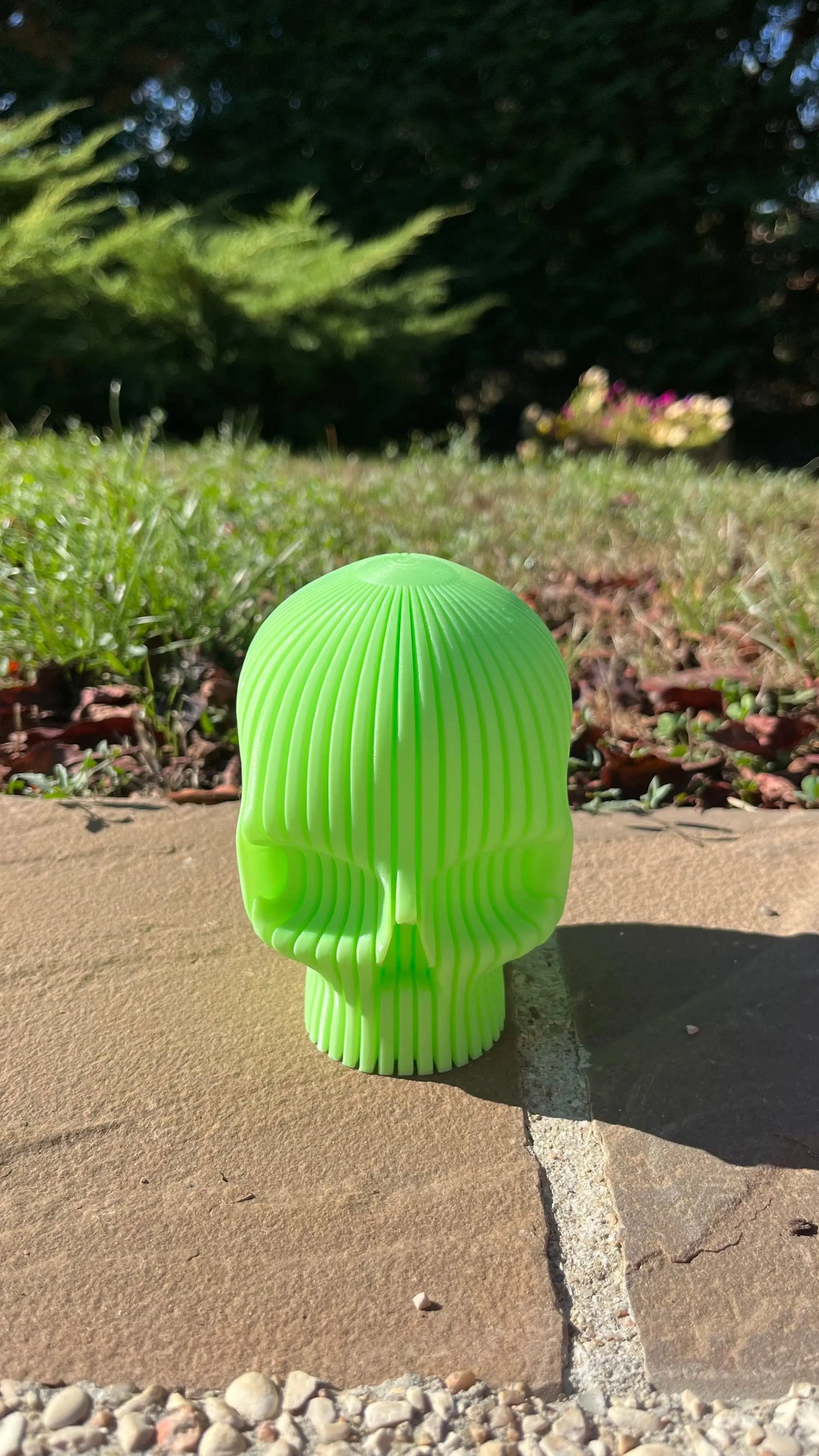 Tête de mort halloween