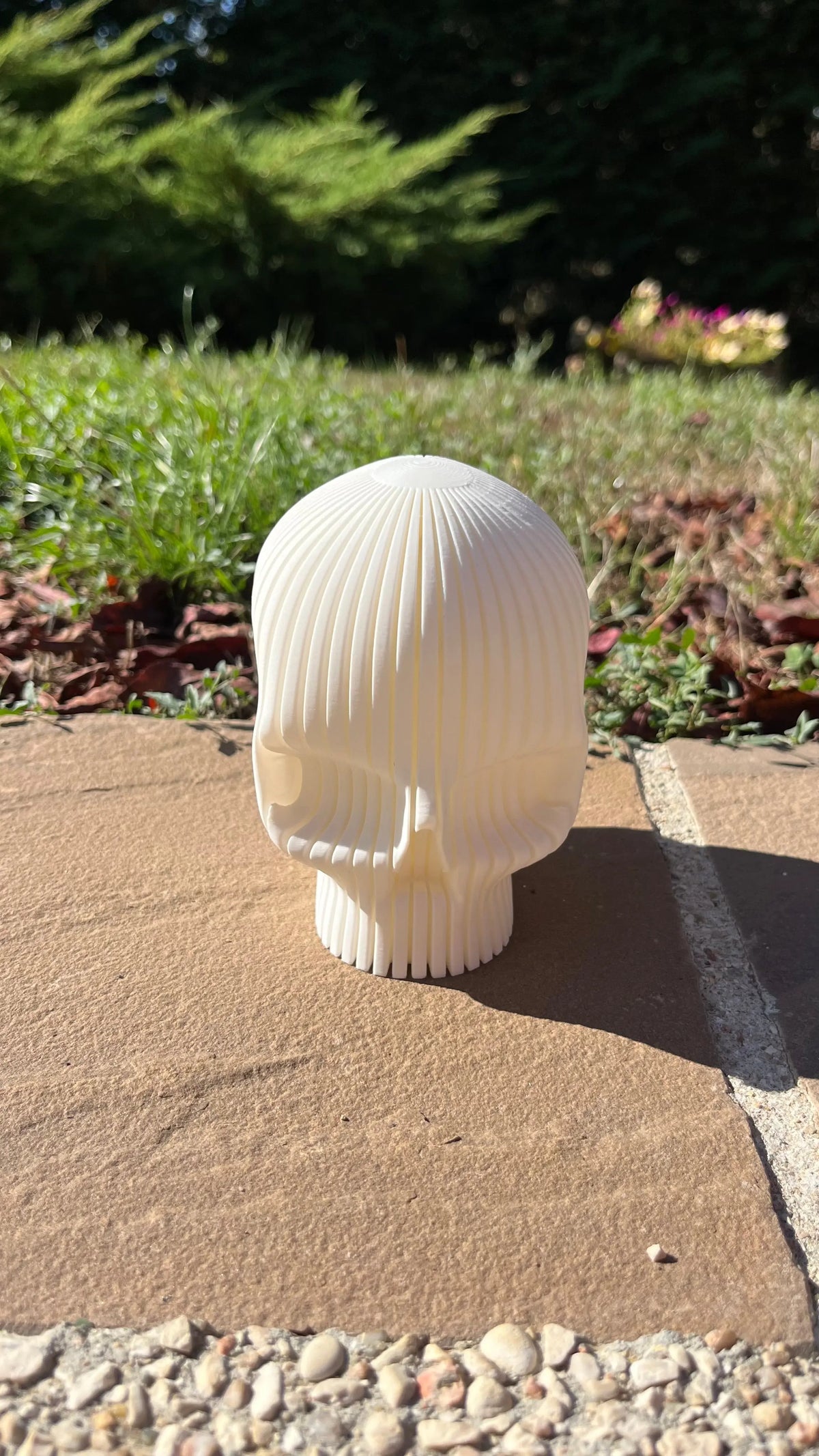 Tête de mort halloween