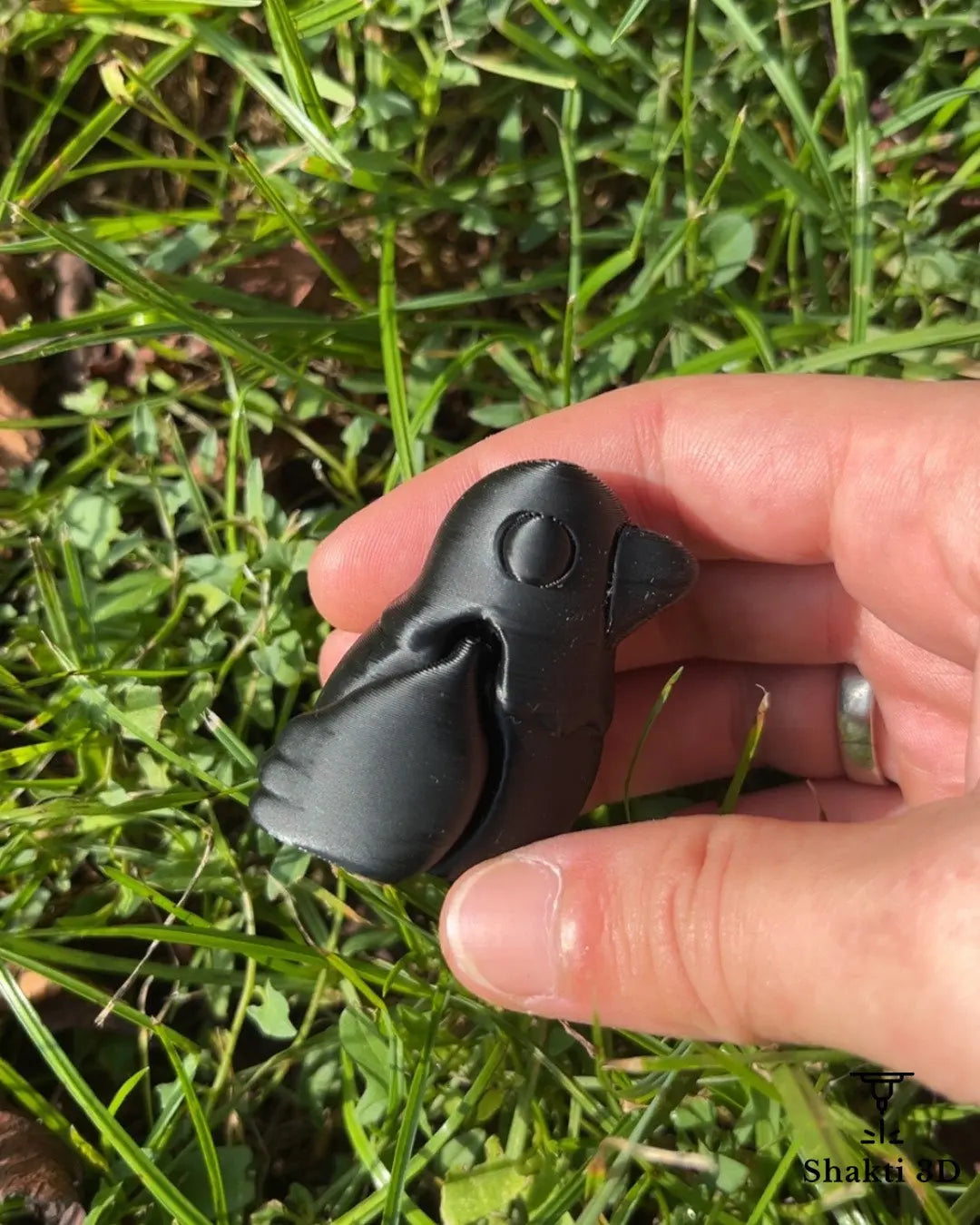 Animaux articulés SHAKTI 3D