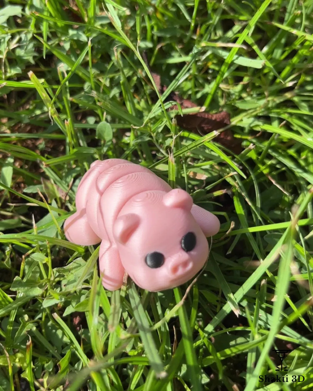 Animaux articulés SHAKTI 3D