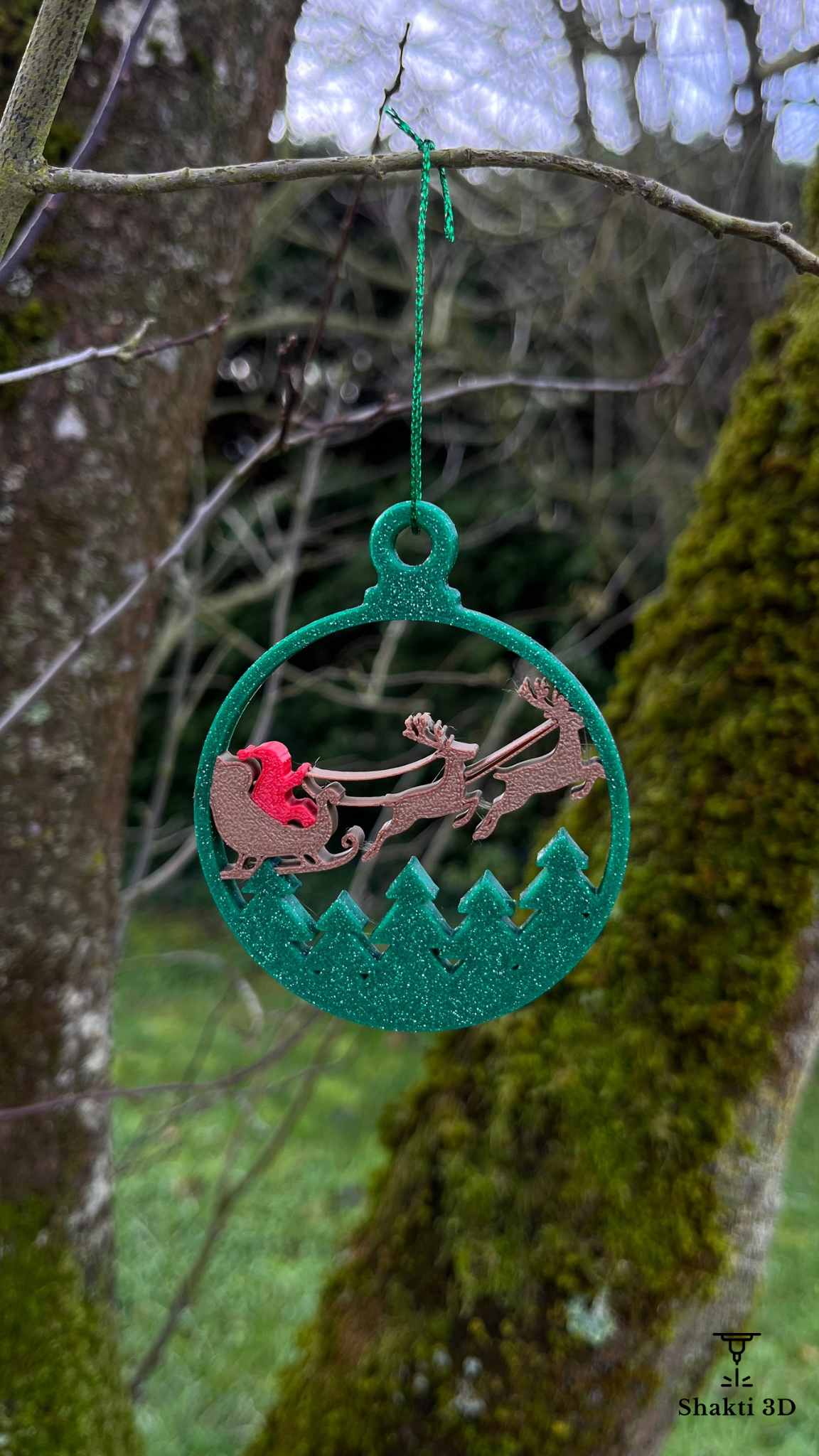 Boule de Noël SHAKTI 3D