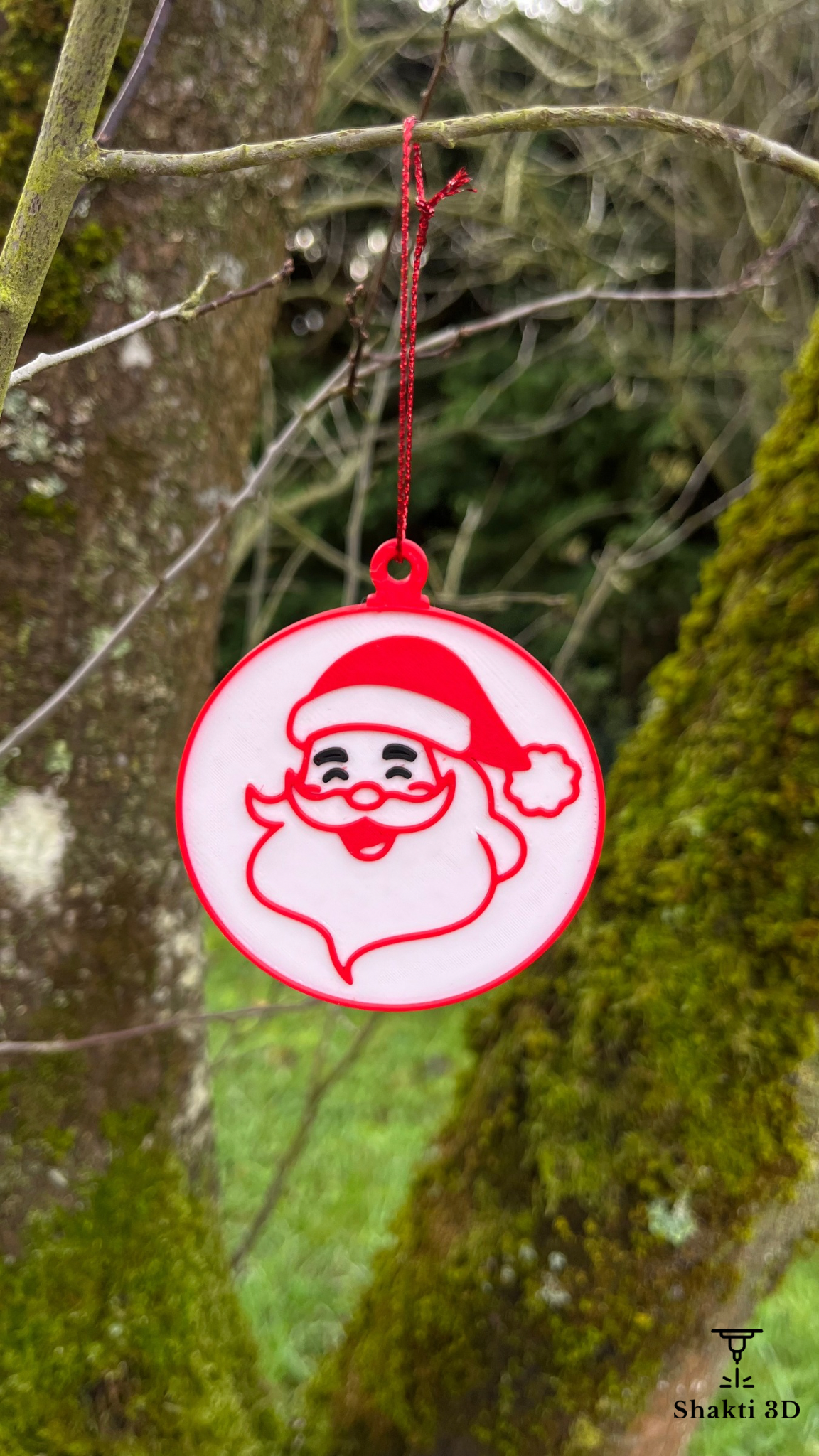 Boule de Noël SHAKTI 3D