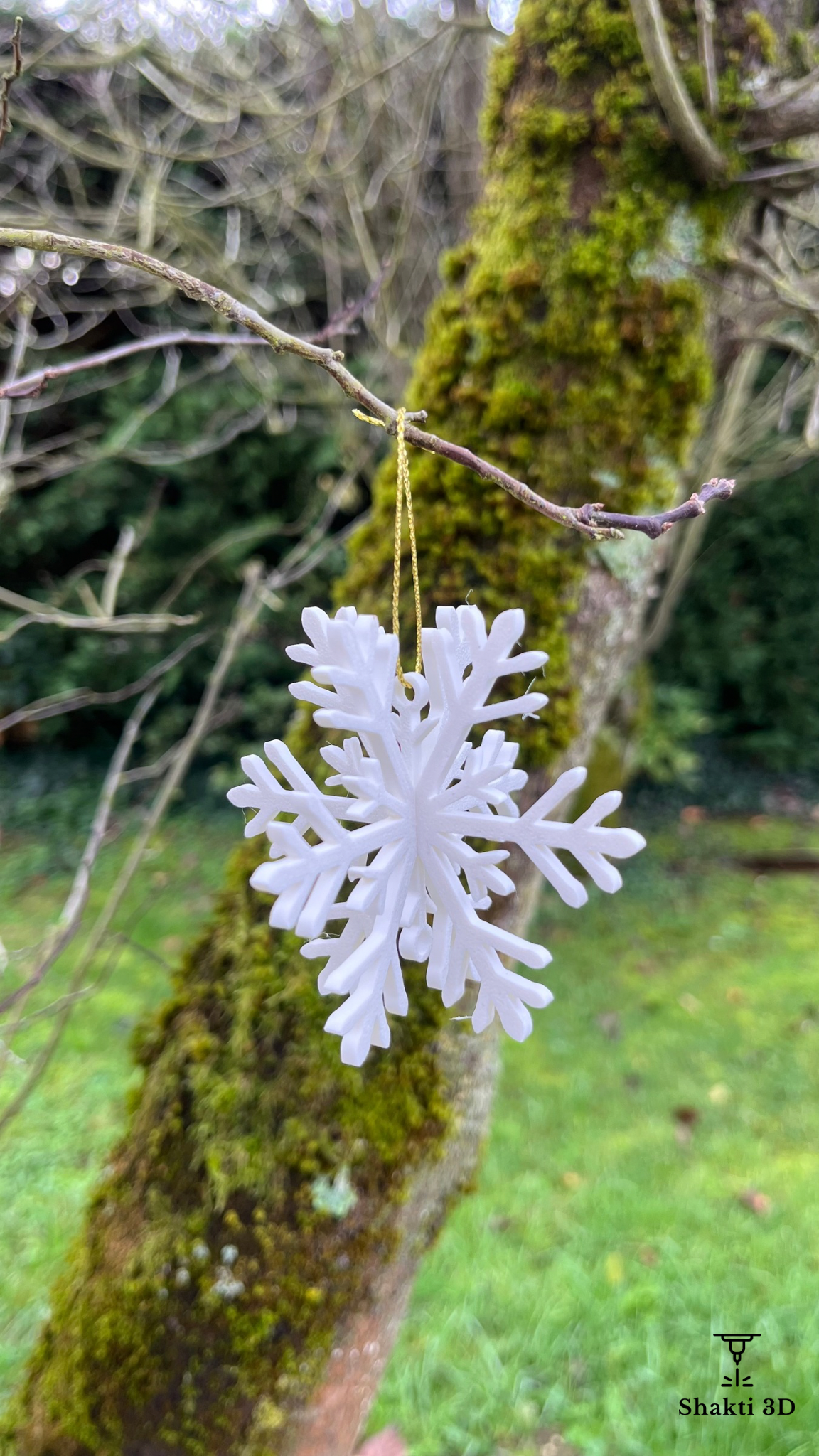 Boule de Noël SHAKTI 3D